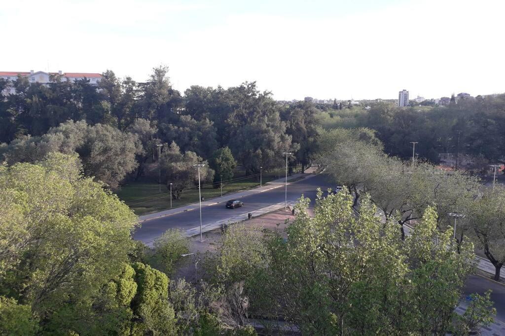 Lo De Roo Apartment Mendoza Bagian luar foto