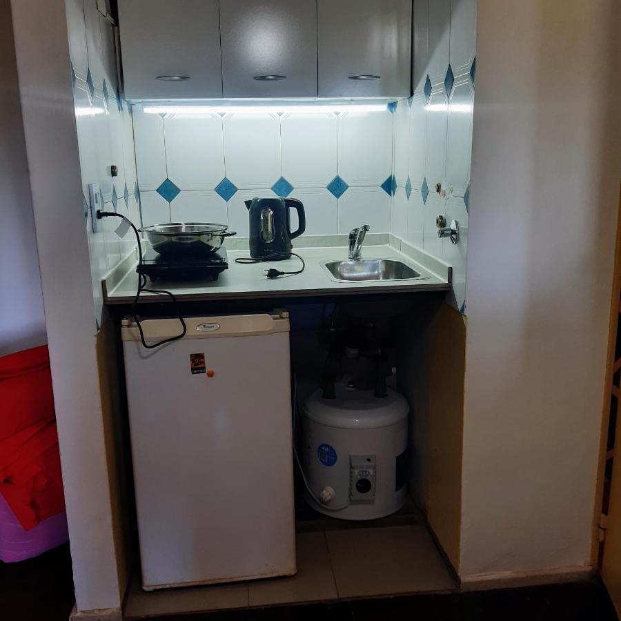 Lo De Roo Apartment Mendoza Bagian luar foto